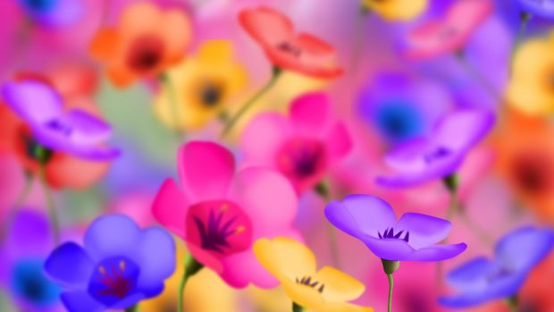Bright Colored Flowers Wallpapers.