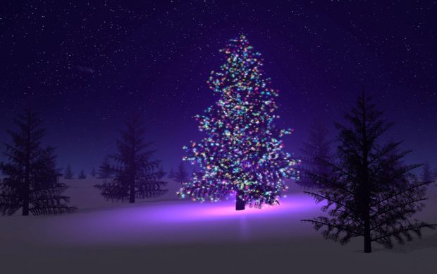 Christmas Tree HD Wallpaper.