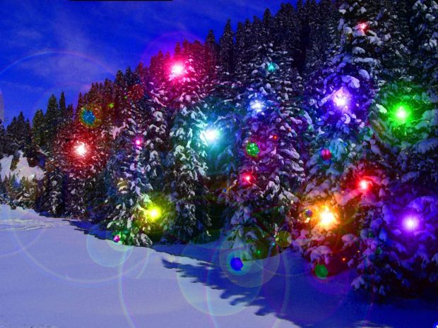 Christmast Light trees Wallpaper 1.