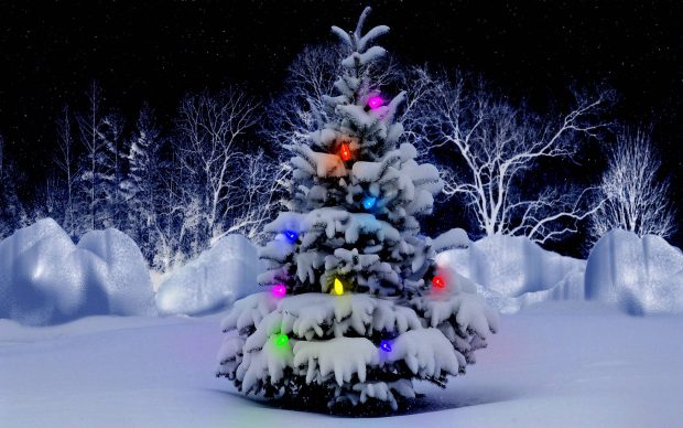 Cold Christmas Tree Background Desktop Free download.