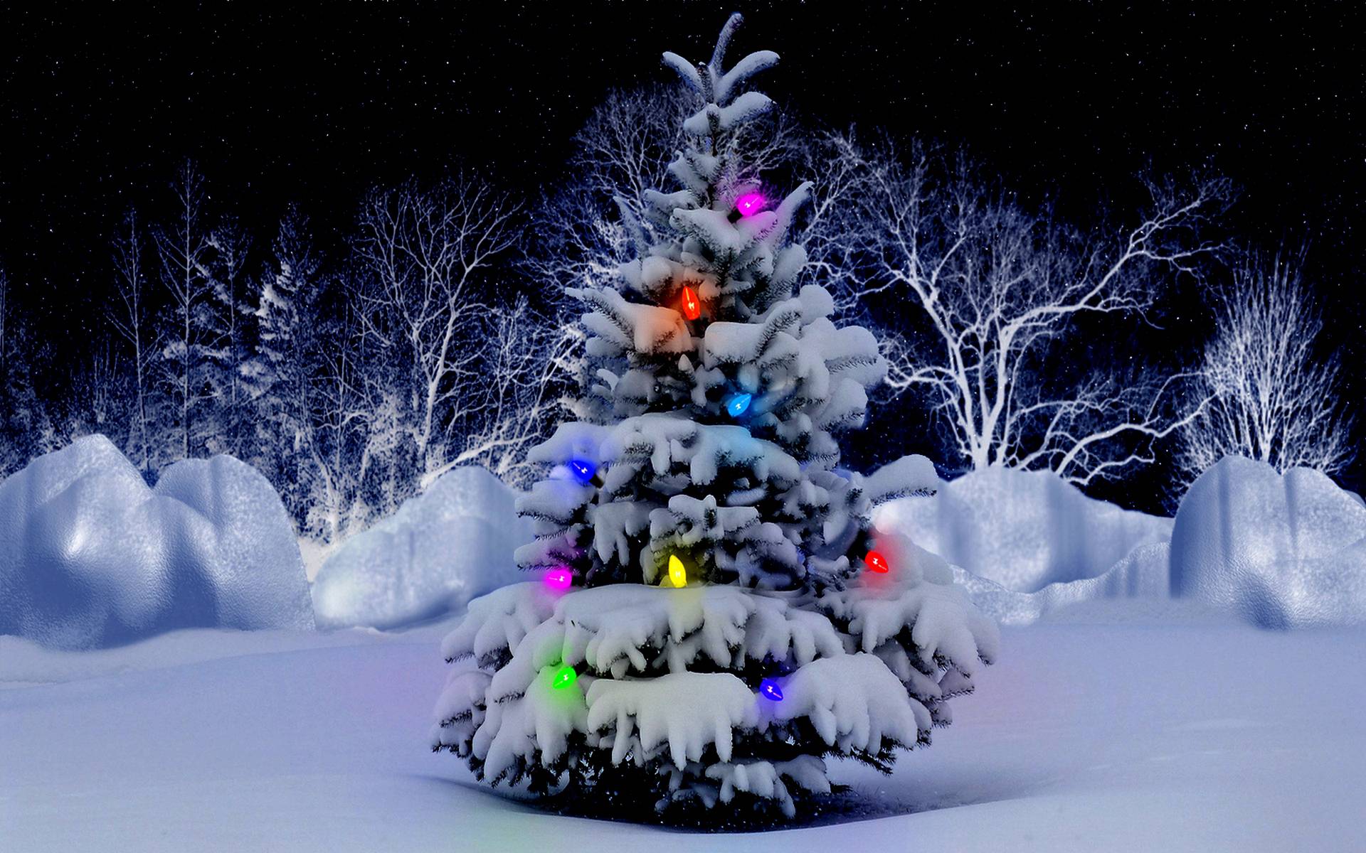 Snow Trees christmas christmas tree night snow tree winter xmas HD  wallpaper  Peakpx
