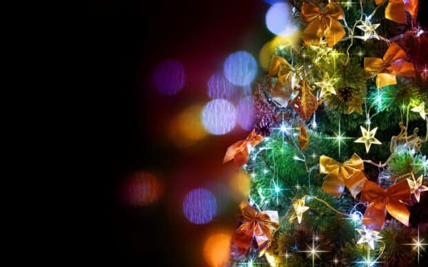 Decorated Christmas tree with gold bows, star ornaments, pinecones, and colorful lights with bokeh background.