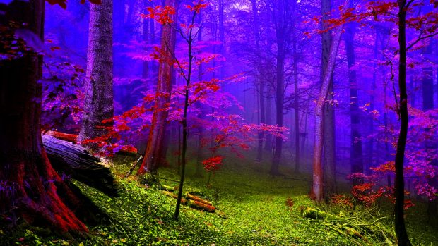 Colorful Fog Wallpapers HD.