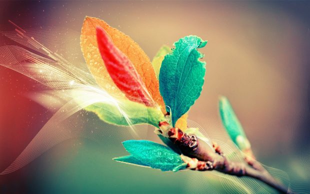 Colorful Leaves Digital Art Hd Wallpapers 1920x1200.