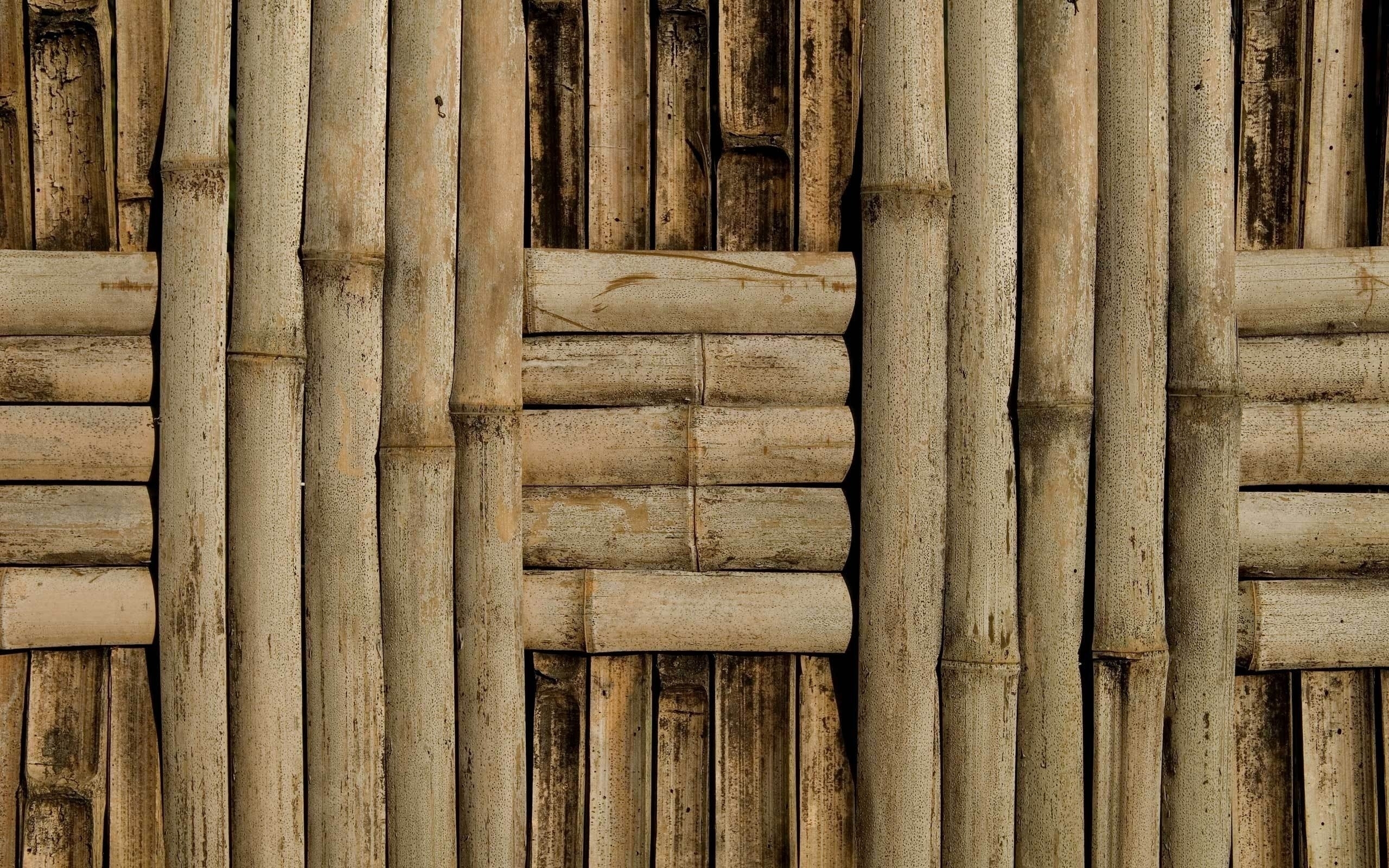 Bamboo Backgrounds Free Download | PixelsTalk.Net