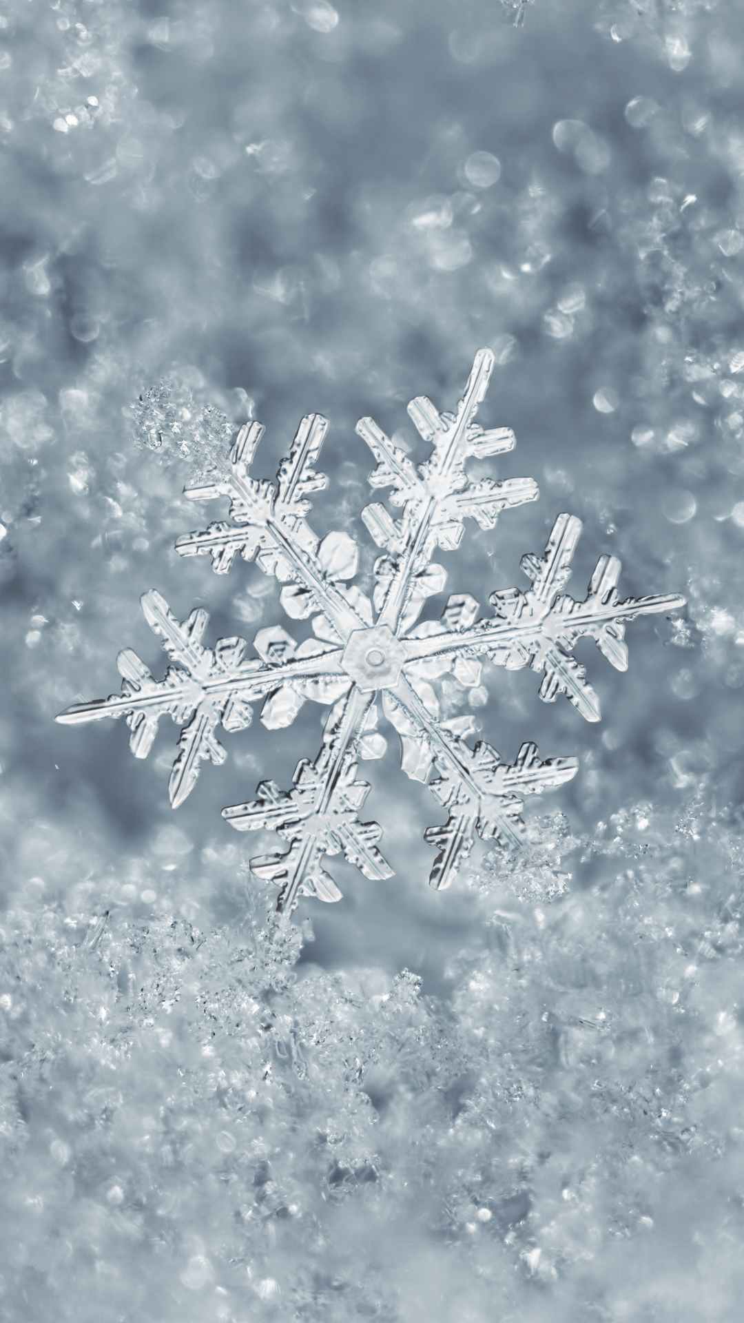 Snowflake Wallpaper