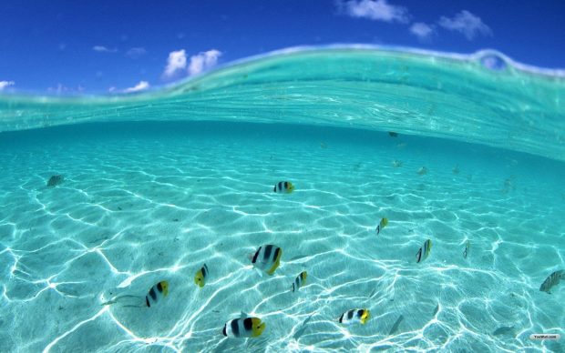 Cool live HD wallpapers free download 5