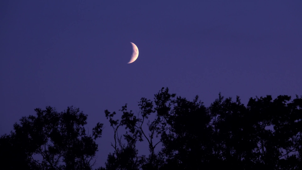 Crescent moon and dark night sky with silhouette of trees.