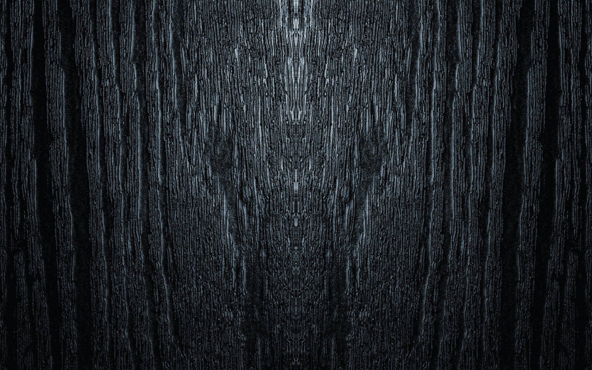 Dark Woods HD Background.
