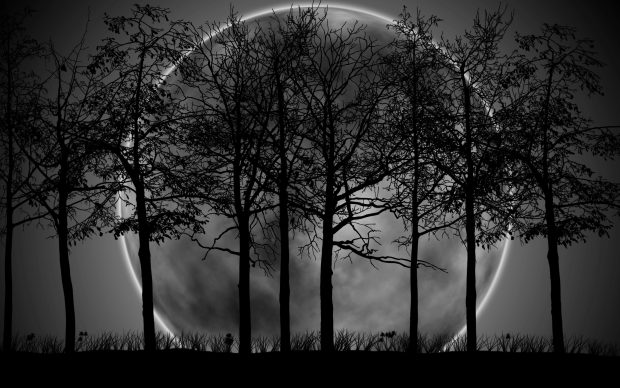 Dark forest moon wallpaper hd.