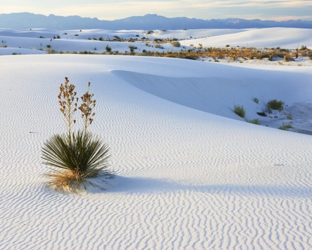 Desert in snow