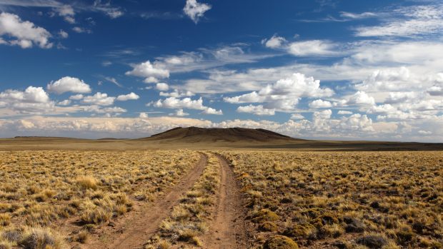 Desert road vegetation backgrounds 1920x1080.