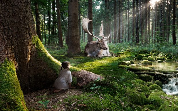 Desktop enchanted forest wallpaper.