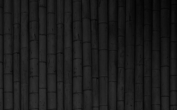 Download HD bamboo wallpaper.