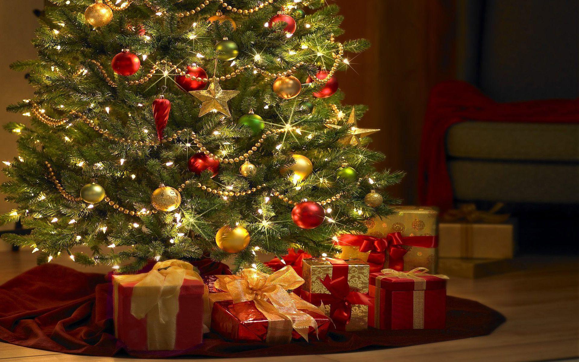 Download Tree Christmast Free