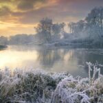 Download Winter Iphone Background Free