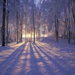 Download Winter Iphone Wallpaper Free