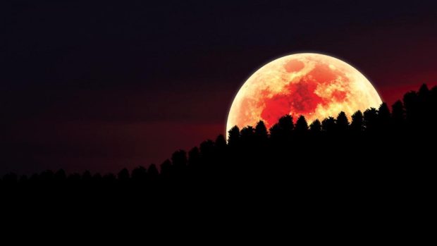 Download red moon over forest wallpapers.