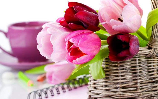 Flower Basket Of Colorful Flowers Wallpapers.