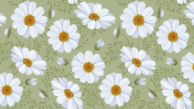 Flower health chamomile summer spring abstract chamomiles daisy green daisies wallpaper.
