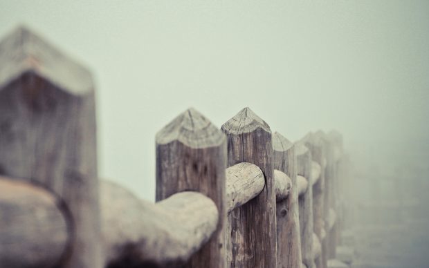 Fog wallpapers hd photography.