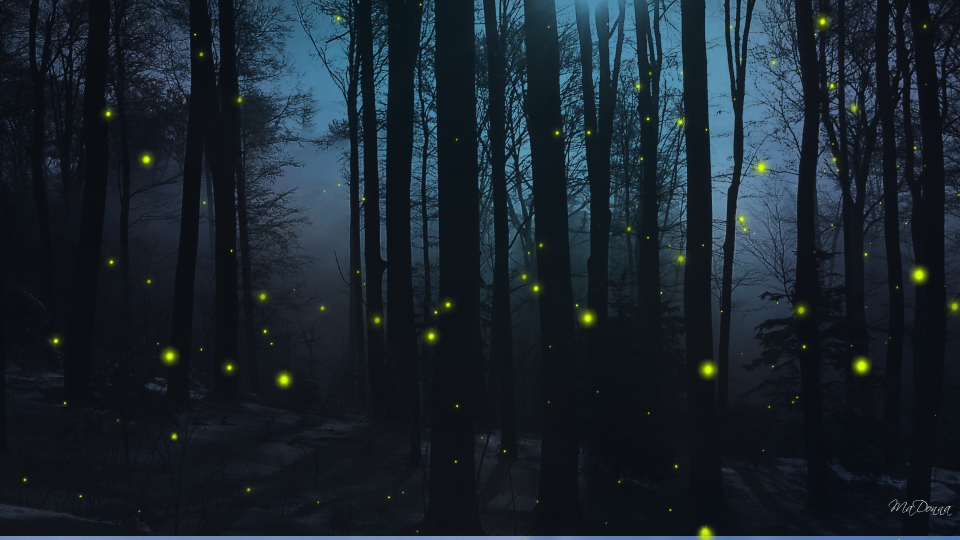 Imagespace Fireflies In The Dark Wallpaper Gmispacecom