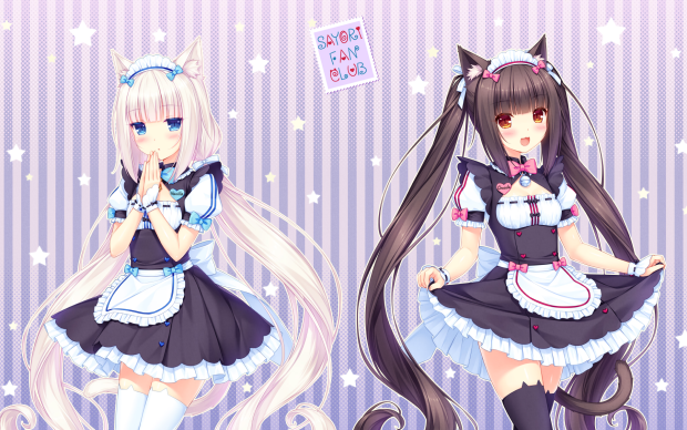 Free Images Nekopara HD.