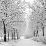 Free Winter Iphone Background Download