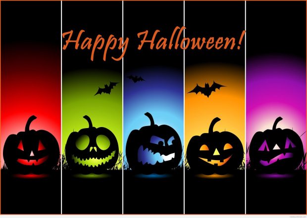 Free download Funny Halloween HD Wallpaper 3