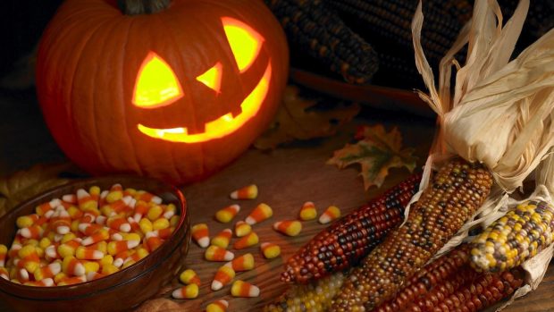 Free download Funny Halloween HD Wallpaper 5