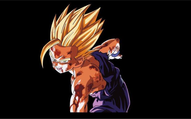 Free download Gohan Wallpaper HD 4.