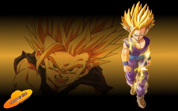 Free download Gohan Wallpaper HD 5.