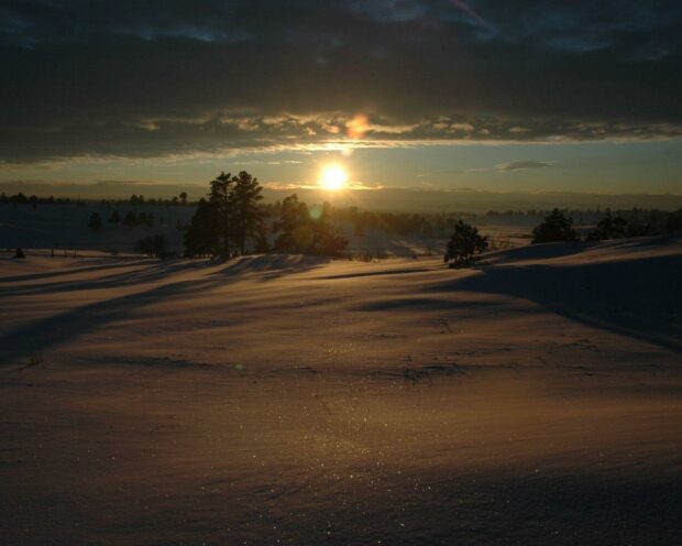 Snowy landscape during sunset with trees and rolling hills.
