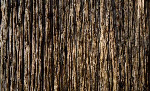 Free wood images 1920x1200.