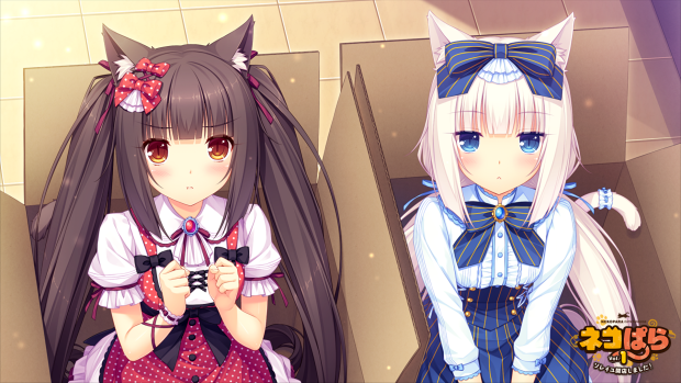 Game Nekopara Photos Download.