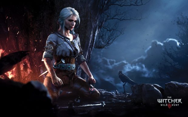 Game The Witcher Backgrounds HD.