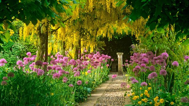 Garden desktop hd wallpapers.