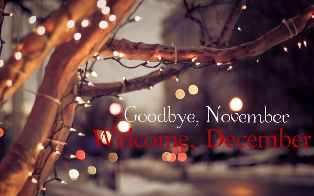 Goodbye November Hello December.