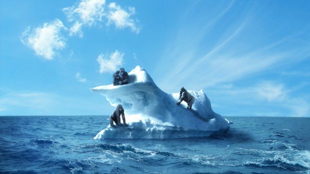 Gorilla iceberg sea sky backgrounds 1920x1080.