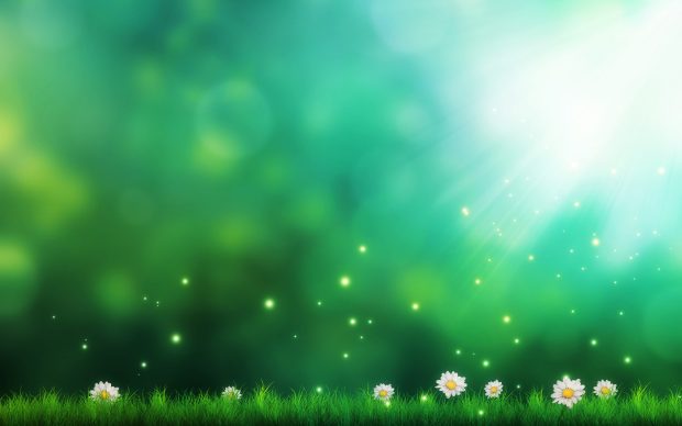 Grass daisies light lights art images 2560x1600.