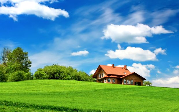 Green field house landscape wallpaper.