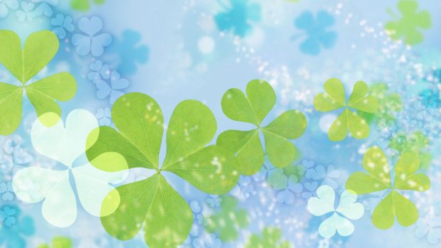 HD Clover Background PIC.