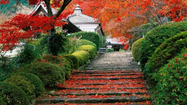 HD Japanese Garden Pictures.