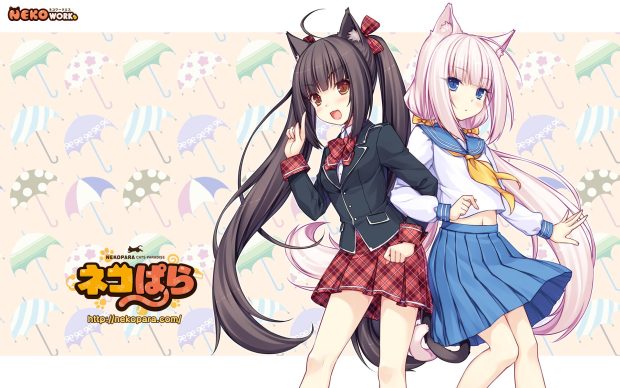 HD Wallpapers Nekopara Download.