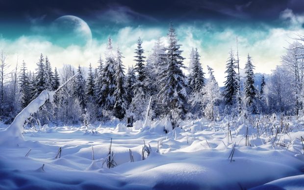 HD Winter Images Download