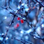 HD Winter Iphone Images