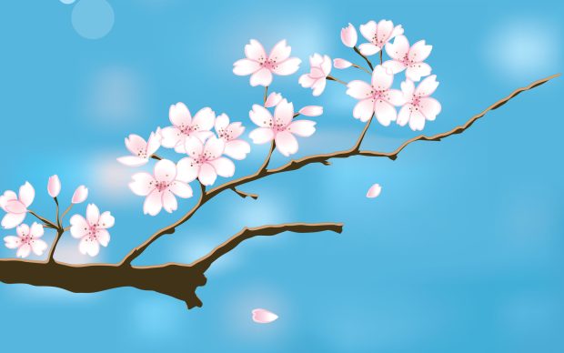HD free desktop wallpaper spring flowers new.