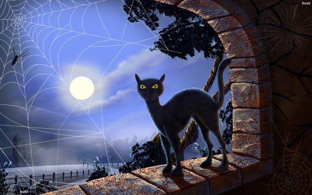 Halloween Cat Desktop Backgrounds 5