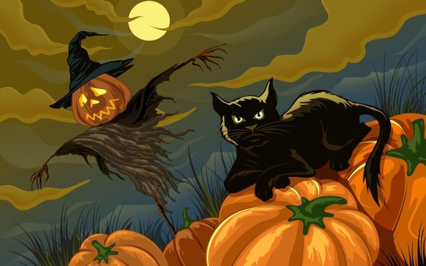 Halloween Cat HD Wallpaper 1