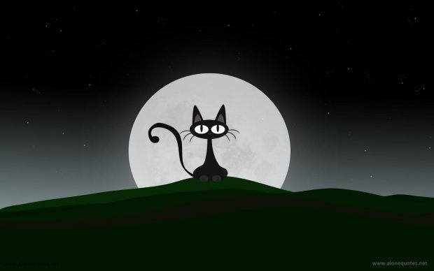 Halloween Cat HD Wallpaper 2